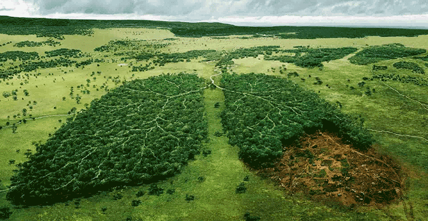 Is it possible to get a real eco-friendly tattoo?